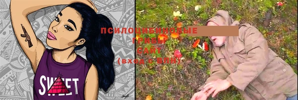 2c-b Строитель
